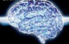 上帝禁區[大腦]