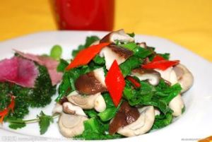 蚝汁彩椒炒雙菇 蚝汁彩椒炒雙菇