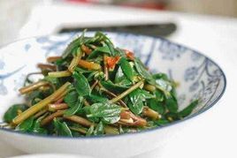 涼拌馬齒莧 涼拌馬齒莧