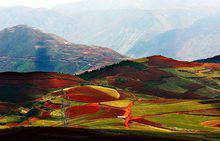 “東川紅土地”壁紙