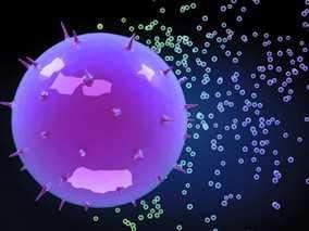 加入氨基 加入氨基