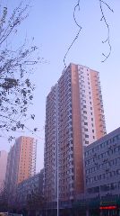 常德荷塘月色 常德荷塘月色