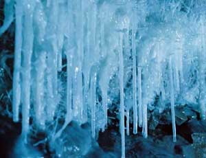 豐都三聯旅行社