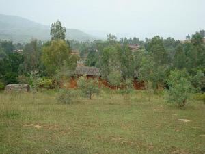 大雷宰村 大雷宰村