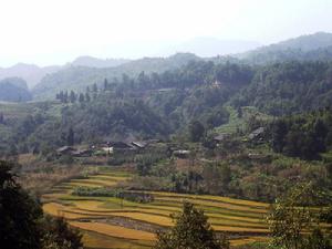 生基自然村 生基自然村