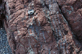 深海燧石 深海燧石