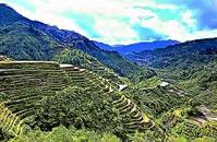 科迪勒拉水稻梯田