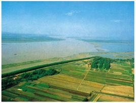 長江下荊江裁彎工程 長江下荊江裁彎工程