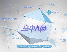 空中入網 空中入網