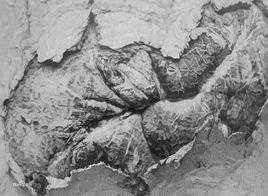 石版畫[版畫技法]