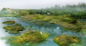 烏龍江濕地 烏龍江濕地