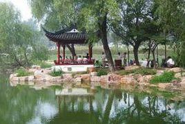 泰山公園 泰山公園