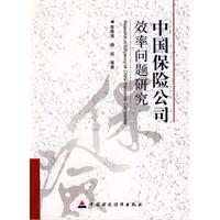 中國保險公司效率問題研究