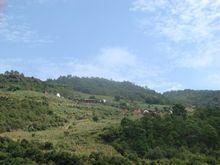 新平村[山東省煙臺市海陽大閻家鎮下轄村]