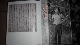 王文生[書法家]