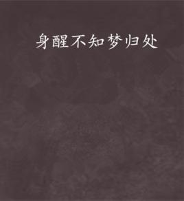 身醒不知夢歸處 身醒不知夢歸處
