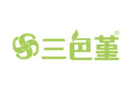 三色堇豐胸精油 三色堇豐胸精油