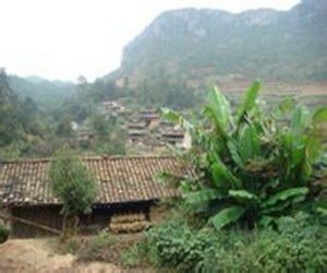 田沖自然村 田沖自然村