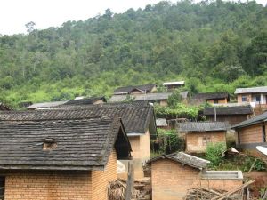 哈尼一村 哈尼一村