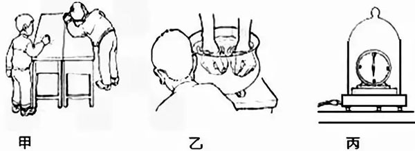 抖音網紅熊隨便碰,迪士尼的一拍就成腦震盪?