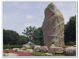 天津長虹公園 天津長虹公園