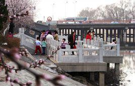 天津桃花園 天津桃花園