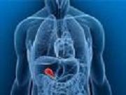 試驗膳食 試驗膳食