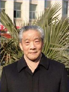 崔燦[鄭州大學教授]