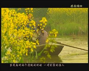 （圖）電視文學