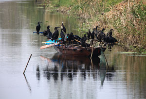 通榆河樞紐風景區 通榆河樞紐風景區