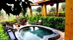 銀杏仙莊帝都溫泉 銀杏仙莊帝都溫泉