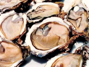 西店牡蠣 西店牡蠣