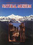 大自然博物館 大自然博物館