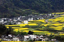 長灘古村 長灘古村