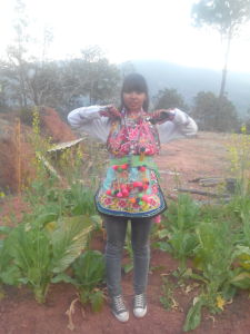 魯古上村 魯古上村