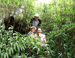 新洲溫泉旅遊區