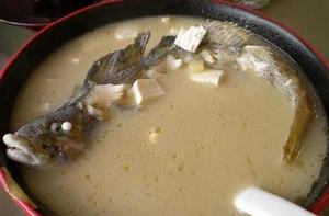 海帶煨鯉魚 海帶煨鯉魚