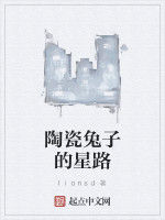 陶瓷兔子的星路 陶瓷兔子的星路