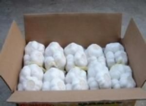 邳州大蒜 邳州大蒜