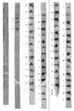 北大簡《老子》辨偽