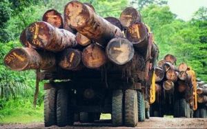 國際自然與自然資源保護同盟 國際自然與自然資源保護同盟