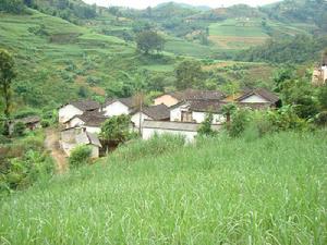 芒黑山自然村 芒黑山自然村
