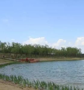 槐房釣魚公園 槐房釣魚公園