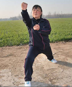 陳彩霞[河南省武術家]