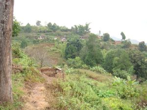 凹腰山自然村 凹腰山自然村