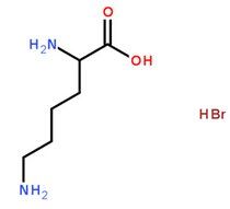 多聚賴氨酸 多聚賴氨酸