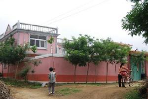 大金埠村 大金埠村