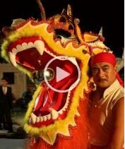 父子神探之龍抬頭 父子神探之龍抬頭