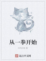 從一拳開始 從一拳開始