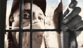 多數人暴力 多數人暴力